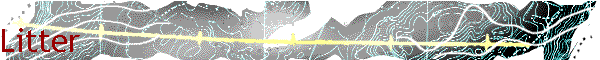 Litter