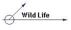 Wild Life