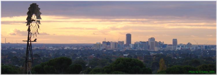 Kookaburra over Adelaide (G Eaton)
