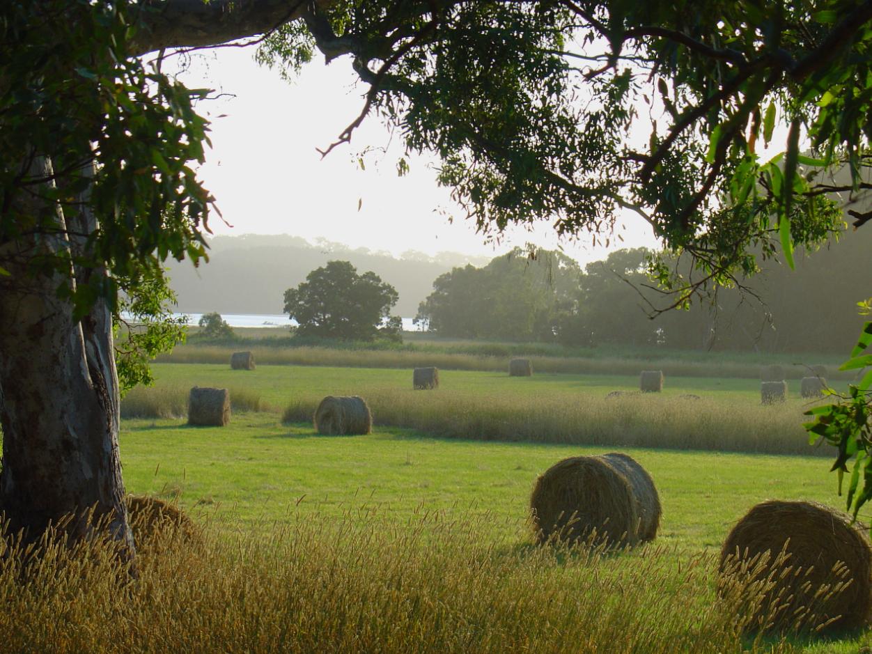 Harvest time at dusk at Myponga South Australia