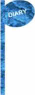 DIARY