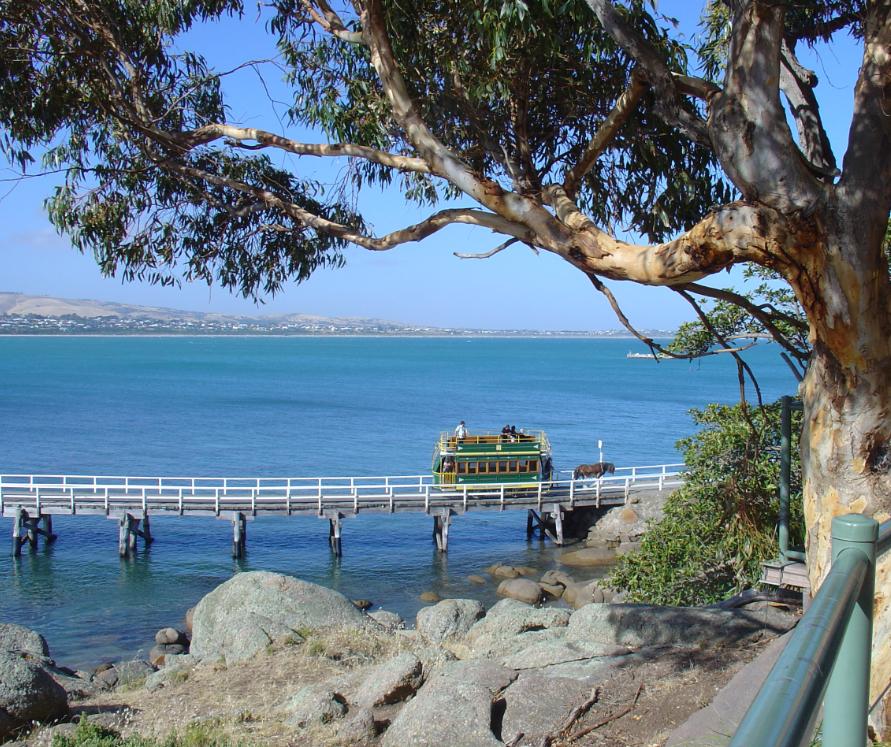 Horse tram to Granite Island
